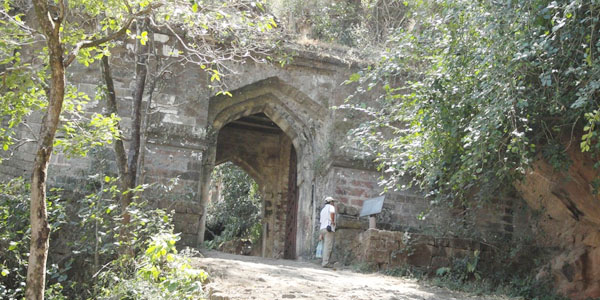 Bandhavgarh Madhya Pradesh Bandhavgarh Madhya Pradesh